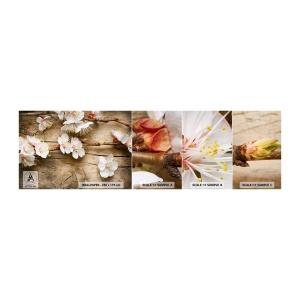 Muestra de fotomural autoadhesivo Deluxe Sticker - Se acerca la primavera - flores, Ramita Con Flores, Naturaleza - 100x30 cm