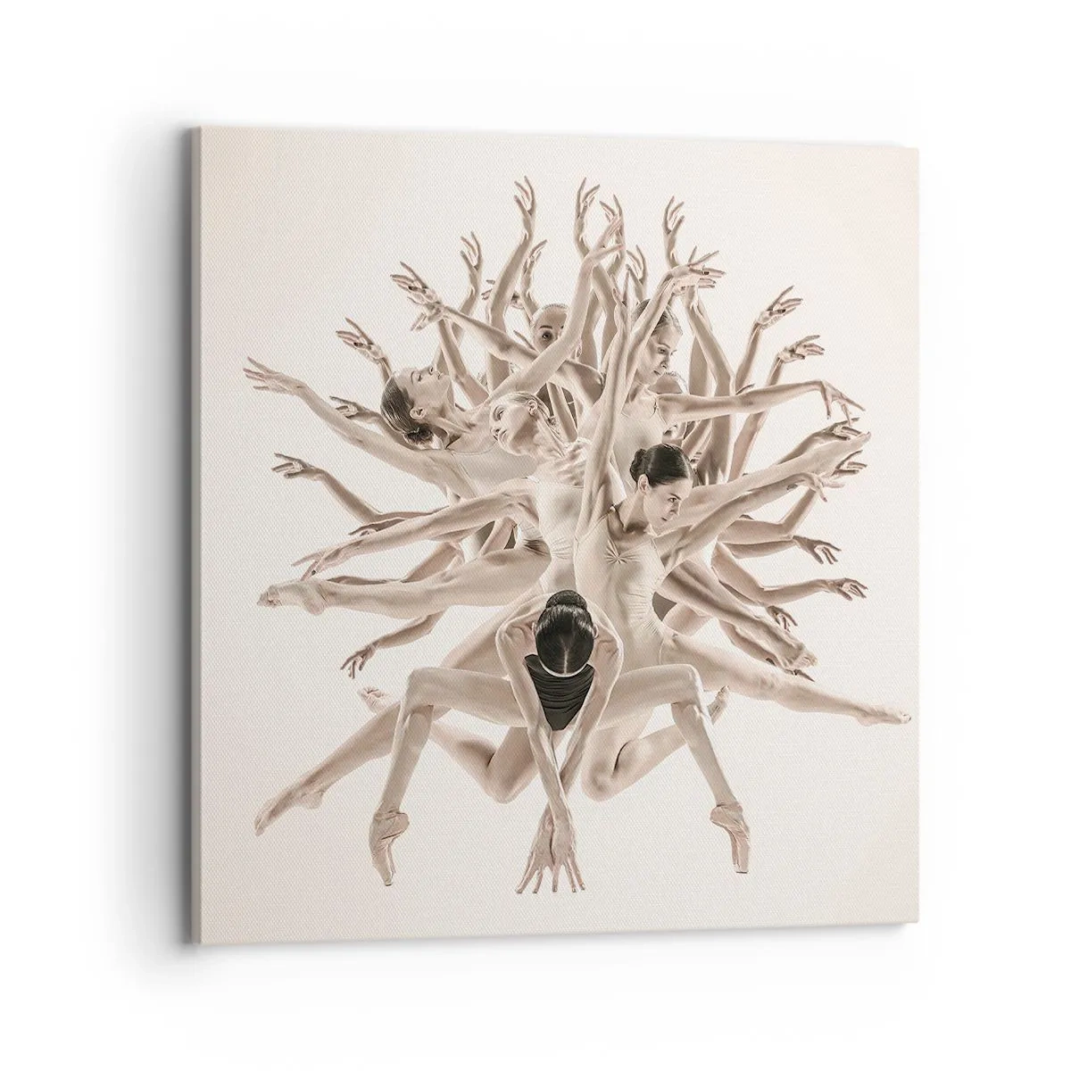 Cuadro sobre lienzo - Impresión de Imagen - Floreciendo en la danza - 70x70 cm