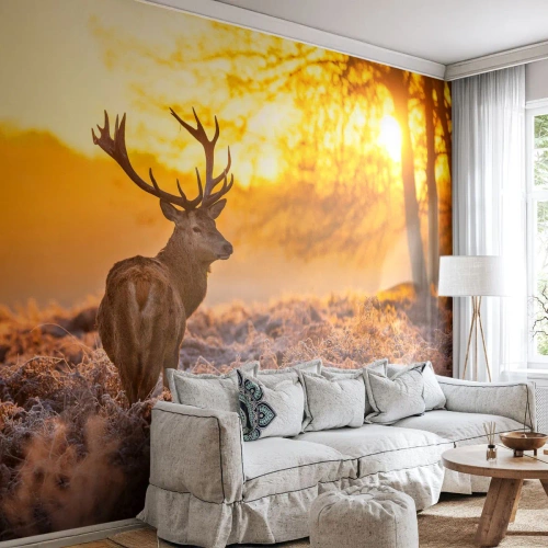 Fotomural Autadhesivo Deluxe Sticker - Rey del bosque de otoño - Paisaje, Ciervo, Naturaleza - 250x175 cm