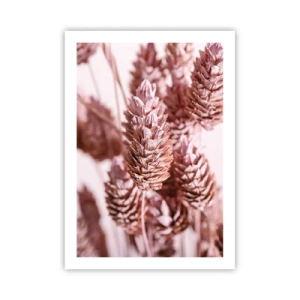 Póster - Primer plano de flores secas en tonos rosa. - 50x70cm - Aparentemente discreto - Decoración de pared moderna para salón y dormitorio ARTTOR