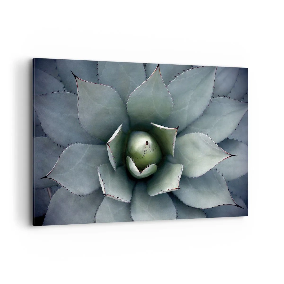 Cuadro sobre lienzo - Impresión de Imagen - Primer plano de una roseta de agave en delicados tonos verdes. - 100x70cm - Perfección natural - Decoración de pared moderna para salón y dormitorio ARTTOR