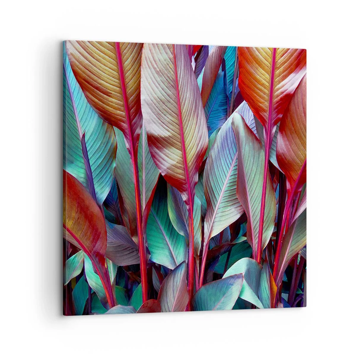 Cuadro sobre lienzo - Impresión de Imagen - Un matorral de colores - 50x50 cm