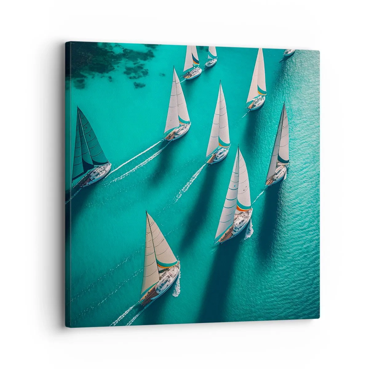 Cuadro sobre lienzo - Impresión de Imagen - En competición con el viento - 30x30 cm