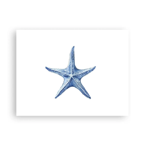 Póster - Estrella de mar - 40x30 cm