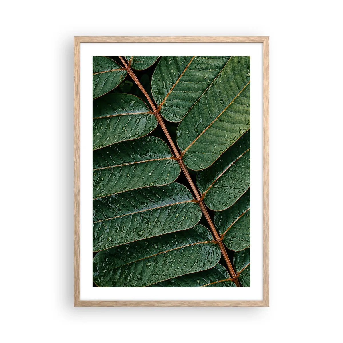 Póster en marco roble claro - En un ritmo verde - 50x70 cm