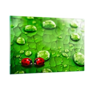 Cuadro sobre vidrio - Impresiones sobre Vidrio - Dos mariquitas en una hoja verde con gotas de agua. - 120x80cm - Reunión sobre verde - Decoración de pared moderna para salón y dormitorio ARTTOR