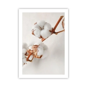 Póster - Delicadas ramitas de algodón sobre un fondo claro. - 50x70cm - Un suave tacto - Decoración de pared moderna para salón y dormitorio ARTTOR