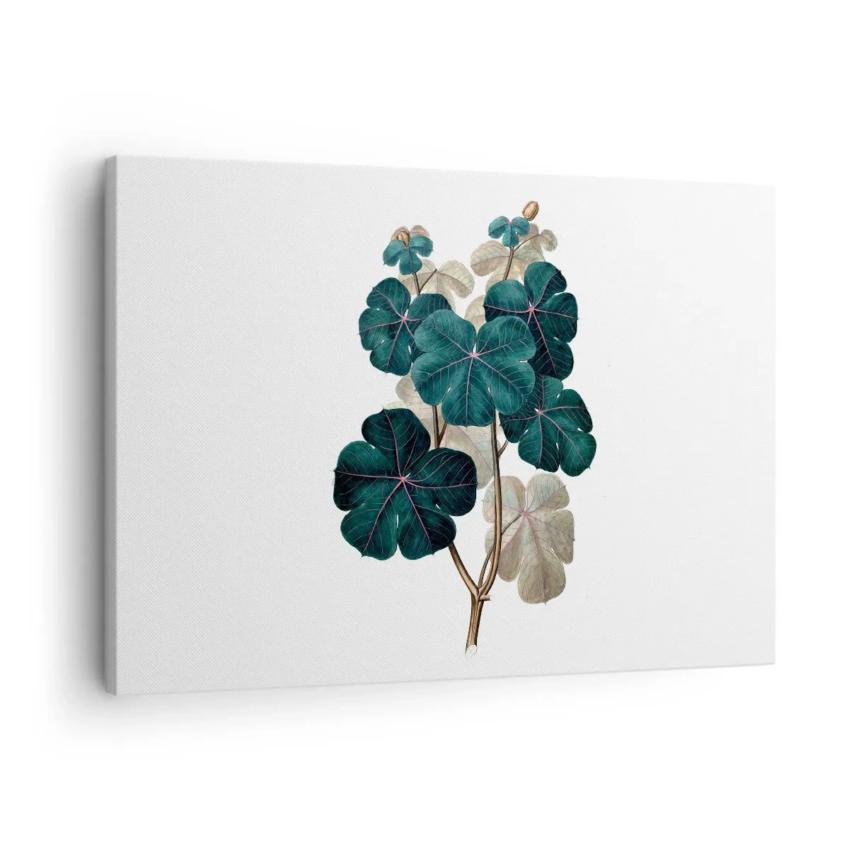 Cuadro sobre lienzo - Impresión de Imagen - Ilustración botánica con hojas en tonos verdes y beige. - 70x50cm - De un viejo herbario - Decoración de pared moderna para salón y dormitorio ARTTOR