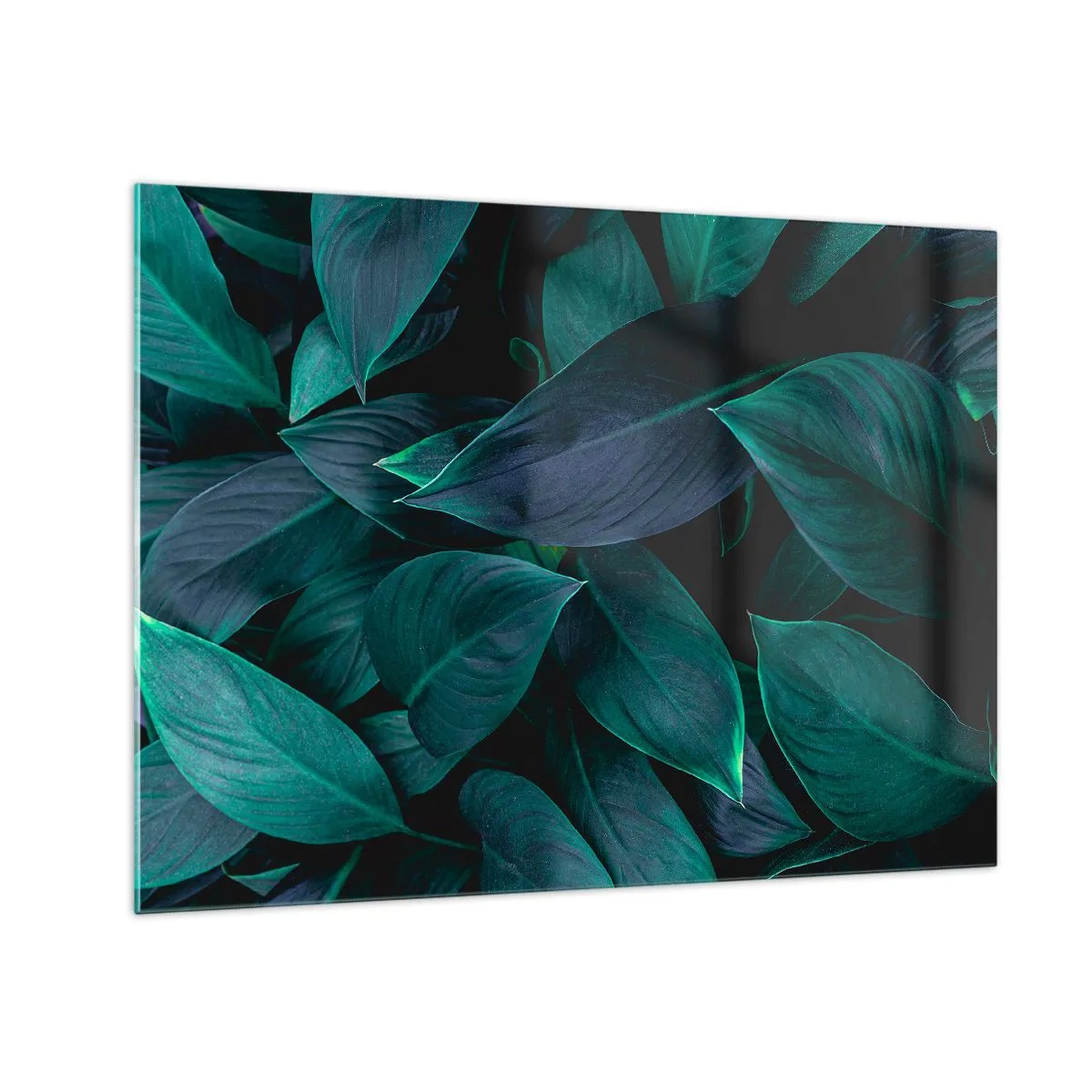Cuadro sobre vidrio - Impresiones sobre Vidrio - Hojas verdes densas sobre un fondo oscuro - 70x50cm - El propio verde - Decoración de pared moderna para salón y dormitorio ARTTOR
