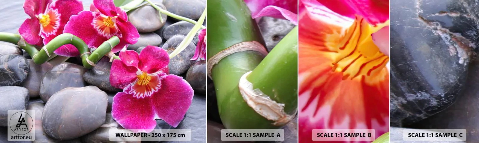 Muestra De Fotomural Standard Eco - Frío y calor - flores, piedras, Orquídea - 100x30 cm