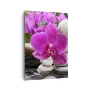 Cuadro sobre lienzo - Impresión de Imagen - Orquídea morada, piedras y bambú con agua en un entorno relajante. - 70x100cm - Ya estás descansando - Decoración de pared moderna para salón y dormitorio ARTTOR