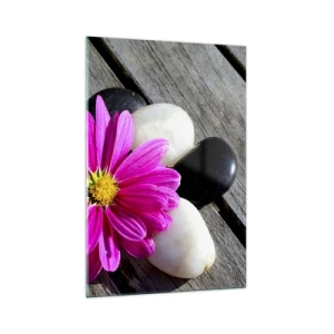 Cuadro sobre vidrio - Impresiones sobre Vidrio - Flor rosa sobre un fondo de tablas de madera con piedras. - 70x100cm - Descansando en el muelle - Decoración de pared moderna para salón y dormitorio ARTTOR
