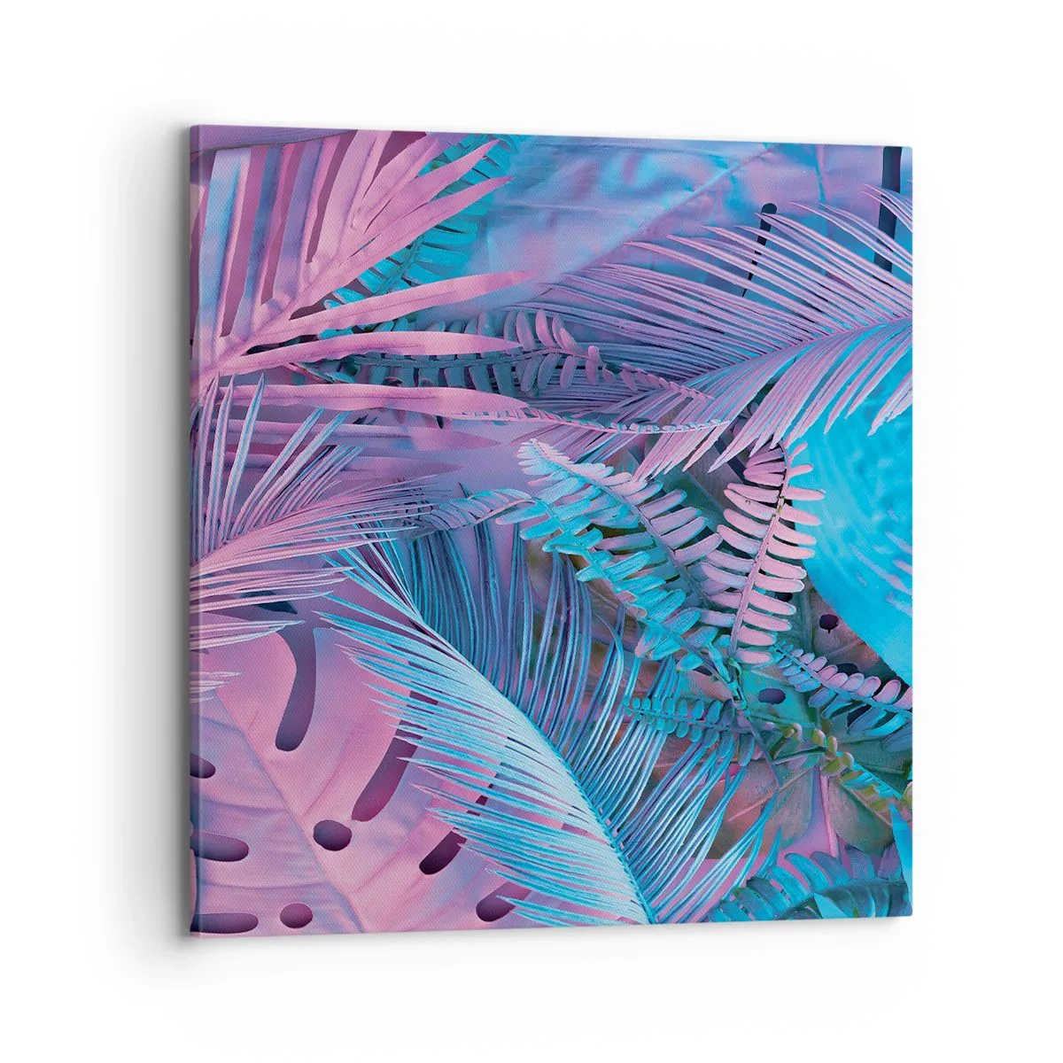 Cuadro sobre lienzo - Impresión de Imagen - Trópicos en rosa y azul - 70x70 cm