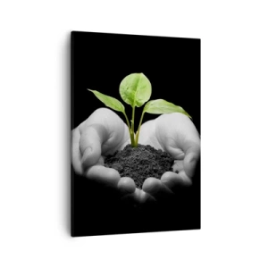 Cuadro sobre lienzo - Impresión de Imagen - Manos sosteniendo una planta verde sobre un fondo negro - 50x70cm - Amo la naturaleza, la protejo - Decoración de pared moderna para salón y dormitorio ARTTOR