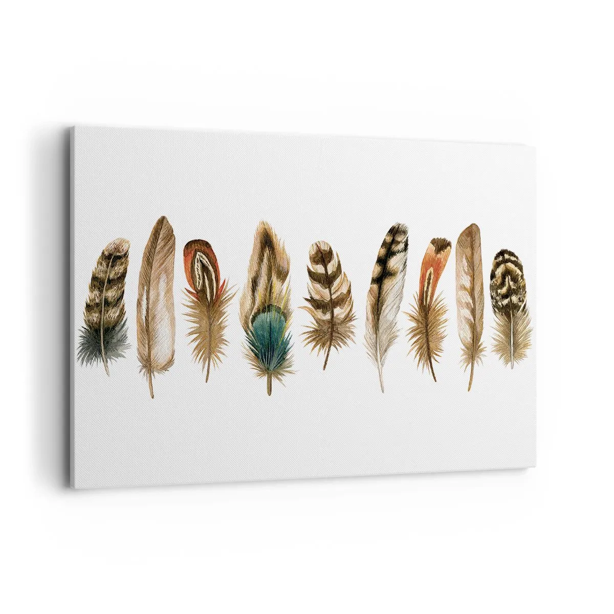 Cuadro sobre lienzo - Impresión de Imagen - Motivo decorativo de una colección de varias plumas. - 100x70cm - Estudio de plumas - Decoración de pared moderna para salón y dormitorio ARTTOR