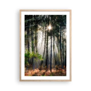 Póster en marco roble claro - La belleza del bosque - 50x70 cm