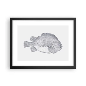 Póster en marco negro - Para el álbum del naturalista - 40x30 cm