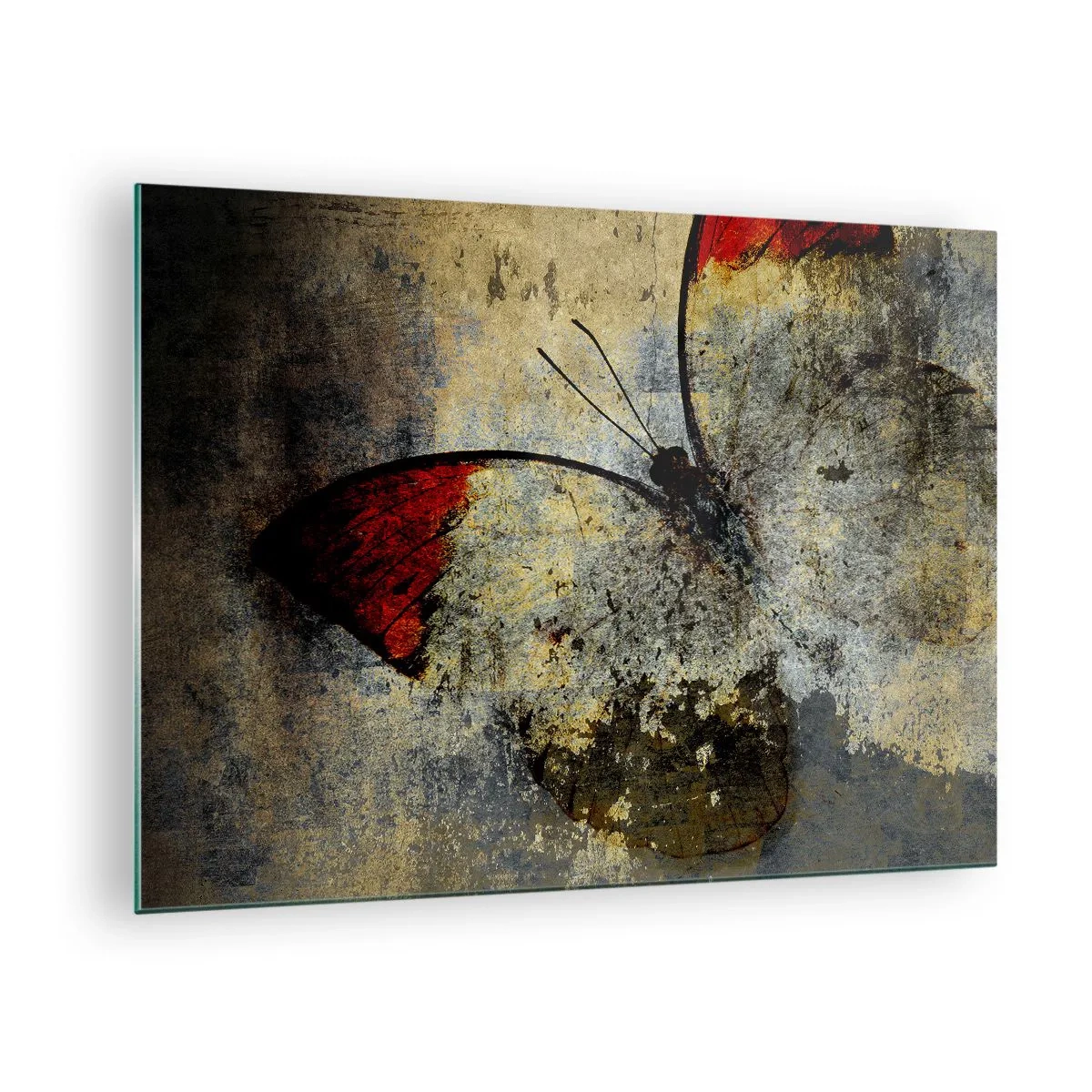 Cuadro sobre vidrio - Impresiones sobre Vidrio - Mariposa abstracta sobre un fondo envejecido - 70x50cm - Mira antes de que desaparezca - Decoración de pared moderna para salón y dormitorio ARTTOR