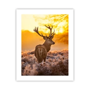 Póster - Rey del bosque de otoño - 40x50 cm