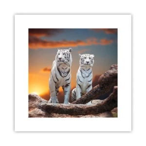 Póster - Como en Narnia - 30x30 cm