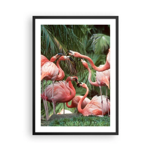 Póster en marco negro - Flamencos rosados en un entorno exótico de palmeras. - 50x70cm - Cotilleos de la tarde - Decoración de pared moderna para salón y dormitorio ARTTOR