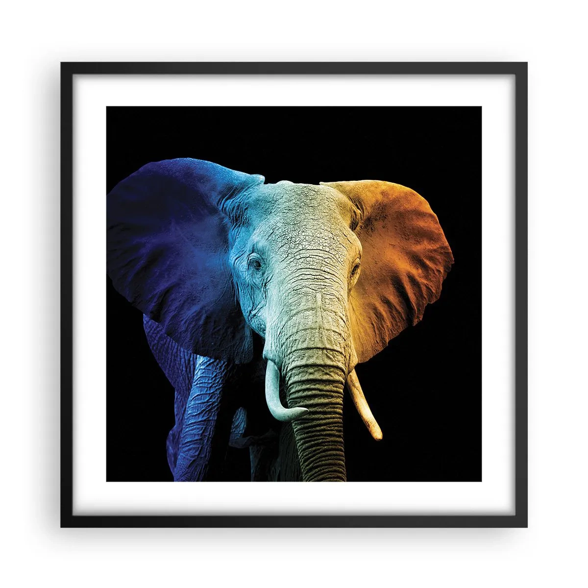 Póster en marco negro - Excéntrico, no un bicho raro - 50x50 cm