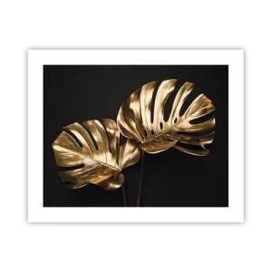 Póster - Tesoros de la naturaleza - 50x40 cm