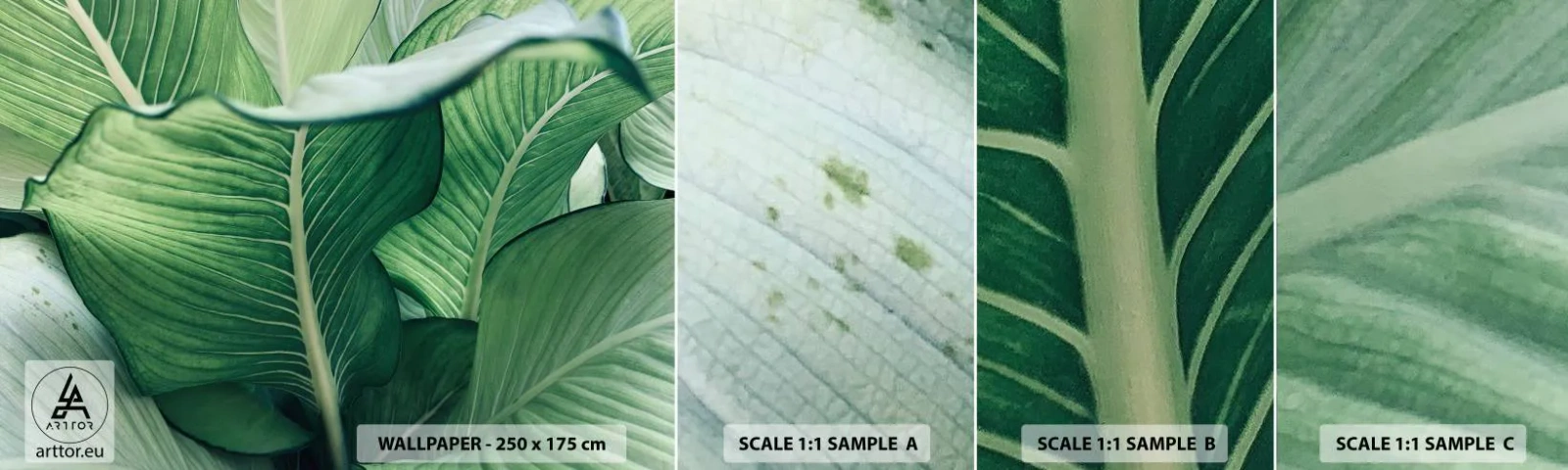 Muestra De Fotomural Standard Eco - Vida intensamente verde - Hojas, Exótico, Botánico - 100x30 cm