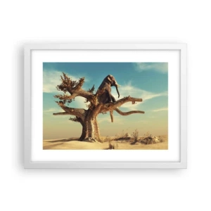 Póster en marco blanco - Un nuevo punto de vista - 40x30 cm