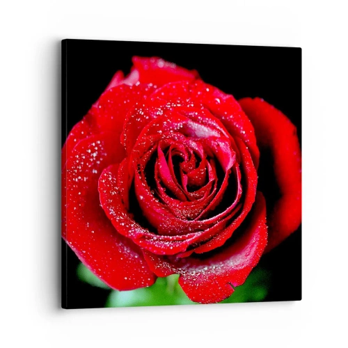 Cuadro sobre lienzo - Impresión de Imagen - Eso es el amor - 30x30 cm