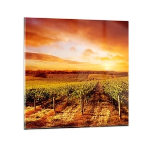 Cuadro sobre vidrio - Impresiones sobre Vidrio - Delicadamente afrutado con un toque de sol - 70x70 cm