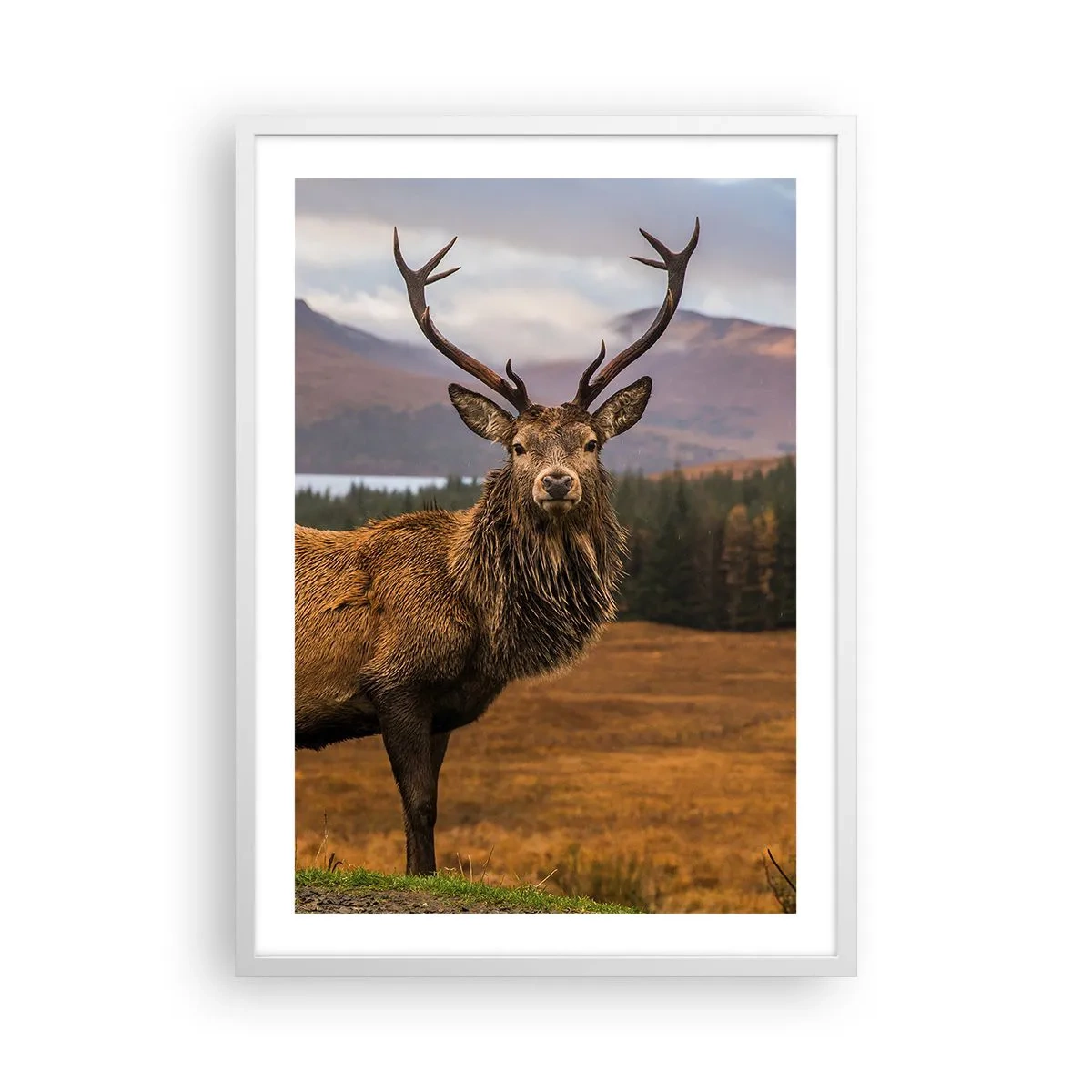Póster en marco blanco - La majestuosidad de la naturaleza - 50x70 cm