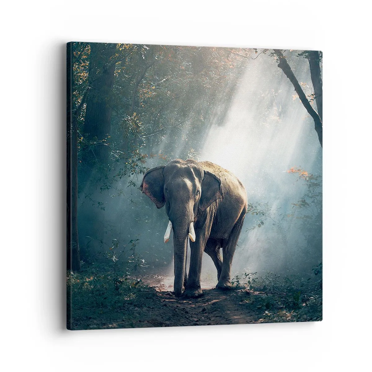 Cuadro sobre lienzo - Impresión de Imagen - Un paseo tranquilo - 40x40 cm