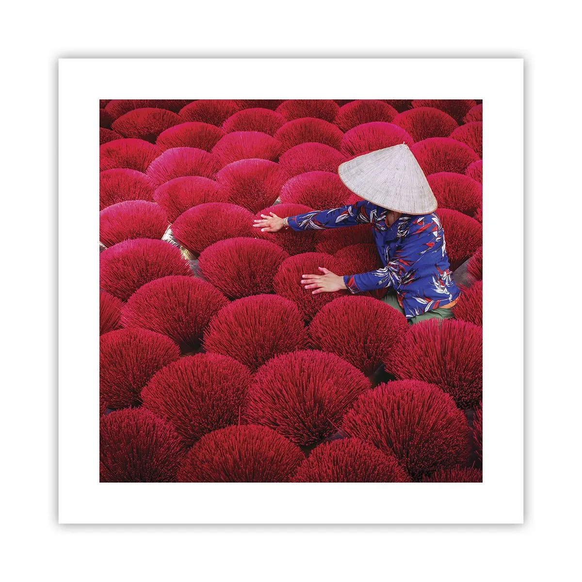 Póster - En un campo de arroz - 40x40 cm