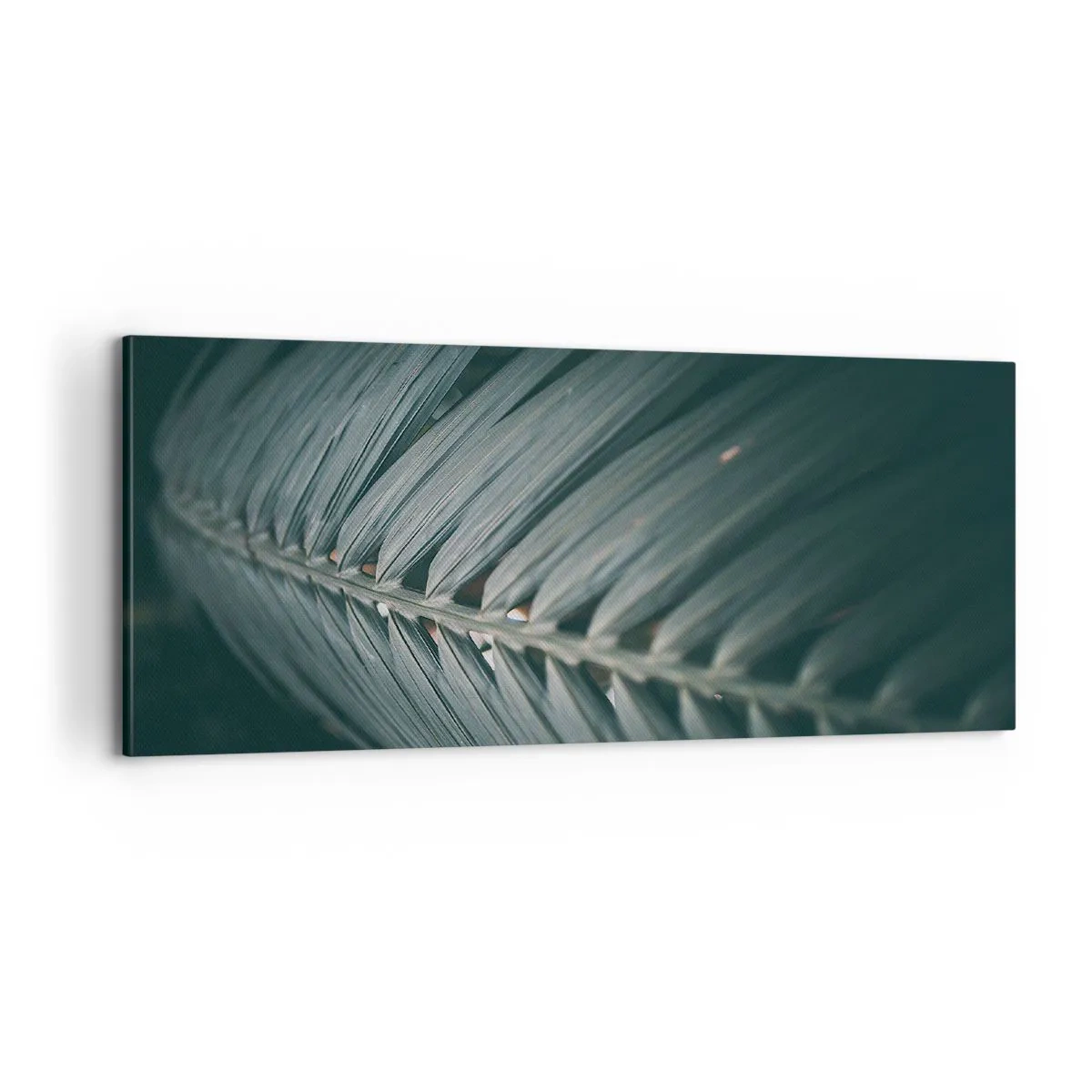 Cuadro sobre lienzo - Impresión de Imagen - La precisión de la naturaleza - 100x40 cm