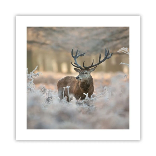 Póster - Una mañana fresca - 40x40 cm