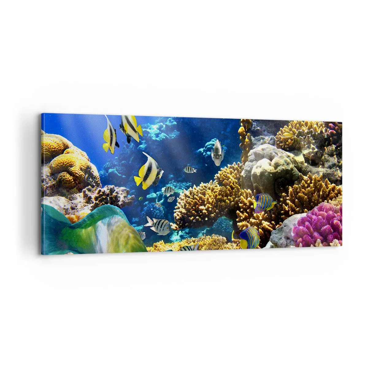 Cuadro sobre lienzo - Impresión de Imagen - Vacaciones submarinas - 100x40 cm