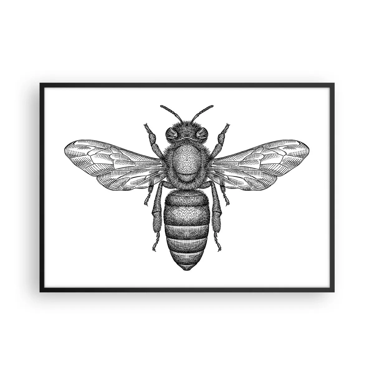 Póster en marco negro - Un motivo de abeja de dibujos animados sobre un fondo blanco en un estilo minimalista. - 100x70cm - Retrato de insecto - Decoración de pared moderna para salón y dormitorio ARTTOR