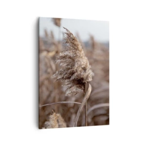 Cuadro sobre lienzo - Impresión de Imagen - Delicadas hierbas en tonos beige sobre el fondo de la naturaleza. - 50x70cm - Es hora de volar con el viento - Decoración de pared moderna para salón y dormitorio ARTTOR