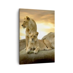 Cuadro sobre lienzo - Impresión de Imagen - Dos leonas descansando sobre una roca durante la puesta de sol - 50x70cm - Majestuosidad real - Decoración de pared moderna para salón y dormitorio ARTTOR