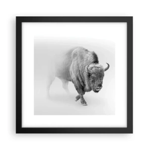 Póster en marco negro - Rey de la pradera - 30x30 cm