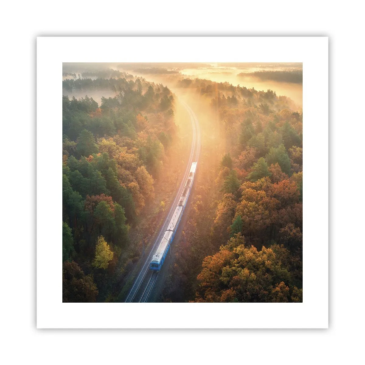 Póster - Un viaje otoñal - 40x40 cm