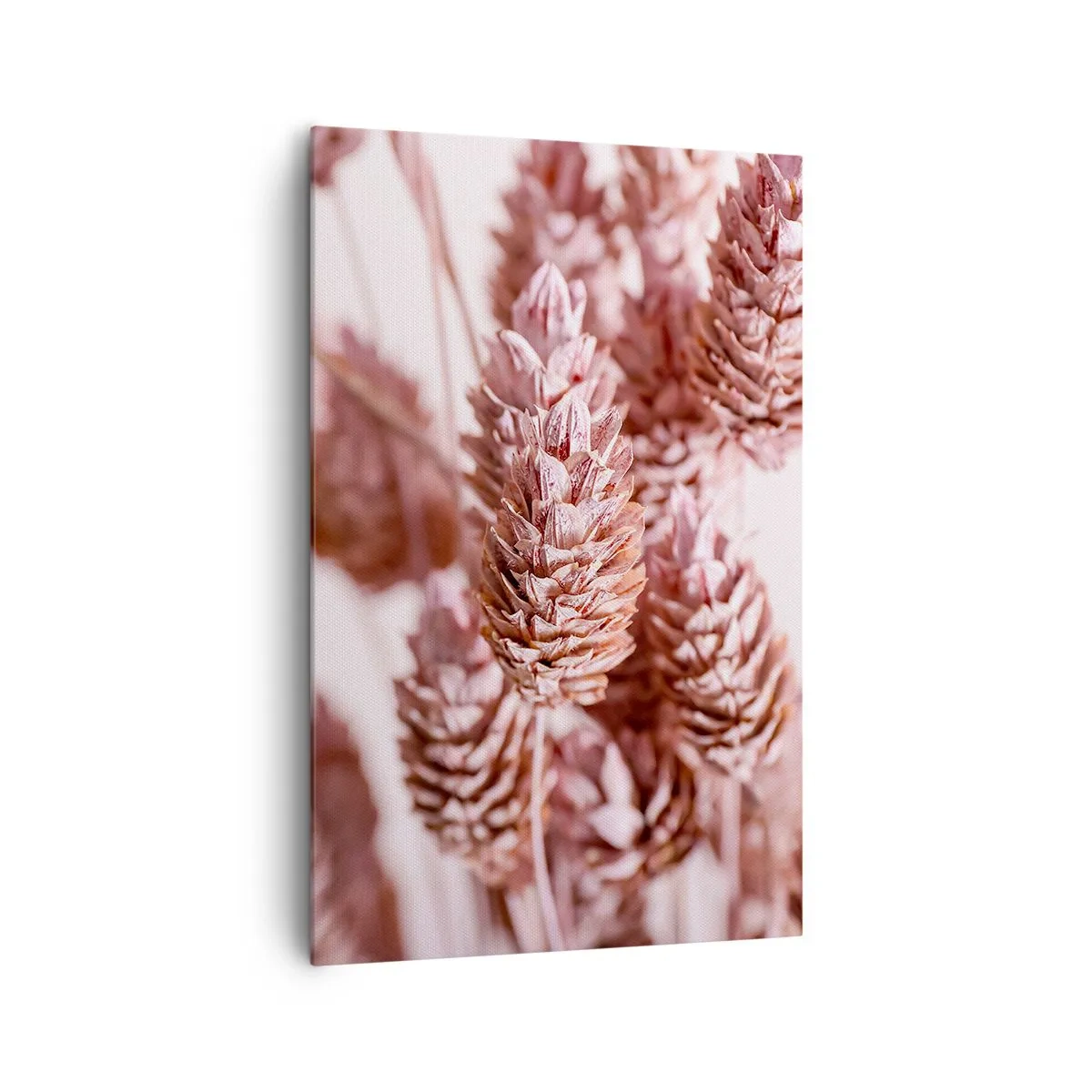 Cuadro sobre lienzo - Impresión de Imagen - Un primer plano de las delicadas espigas rosadas de las hierbas ornamentales. - 80x120cm - Aparentemente discreto - Decoración de pared moderna para salón y dormitorio ARTTOR