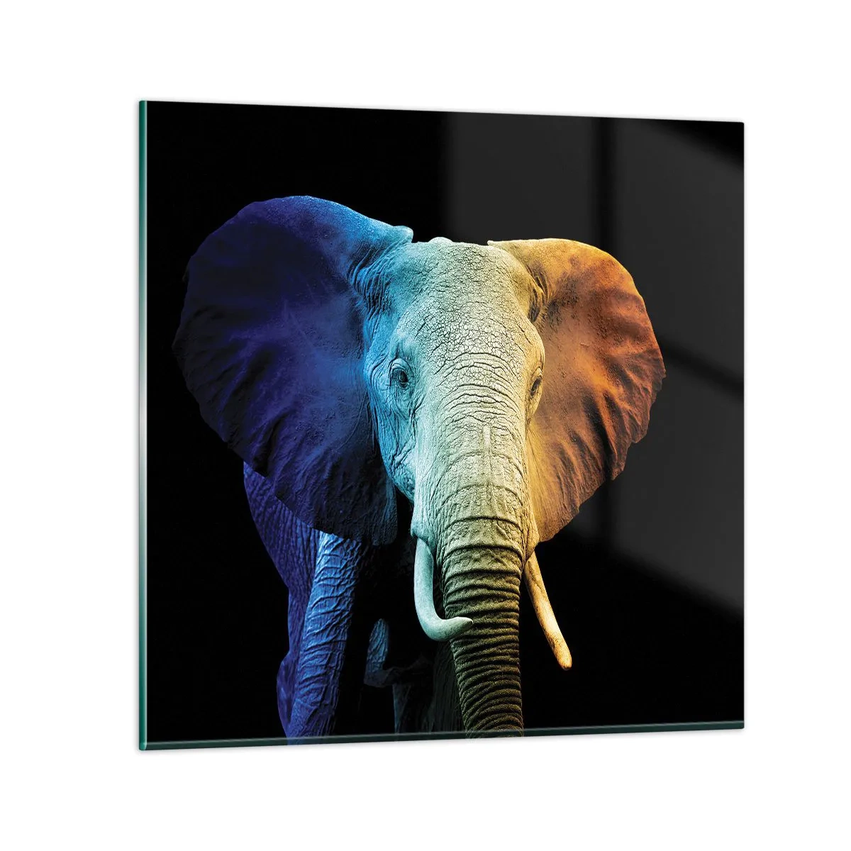 Cuadro sobre vidrio - Impresiones sobre Vidrio - Excéntrico, no un bicho raro - 40x40 cm