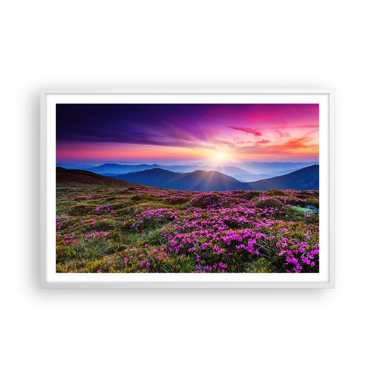 Póster en marco blanco - Dulce aroma a frescura - 91x61 cm