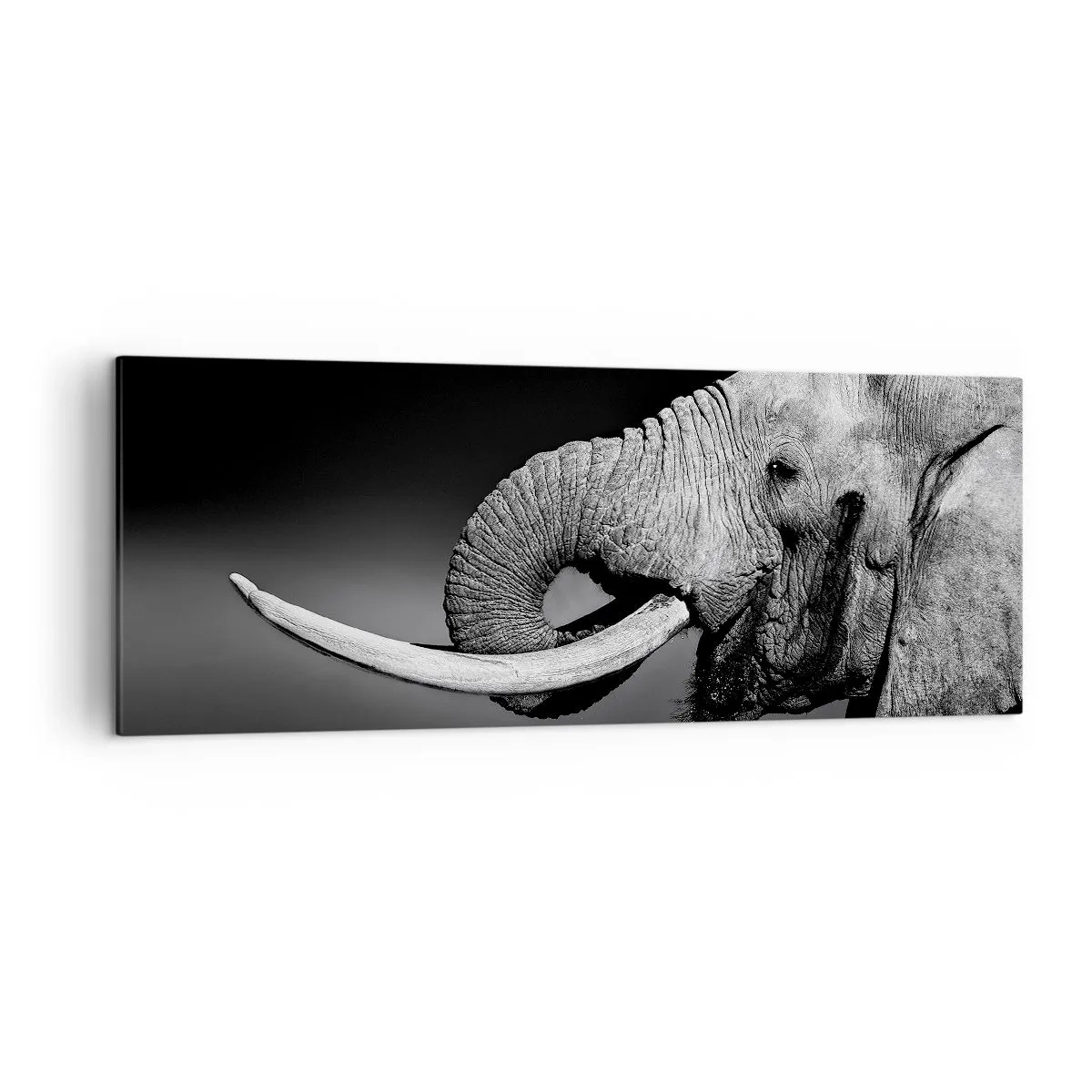Cuadro sobre lienzo - Impresión de Imagen - Retrato en blanco y negro de un elefante de perfil. - 140x50cm - Majestuoso - Decoración de pared moderna para salón y dormitorio ARTTOR