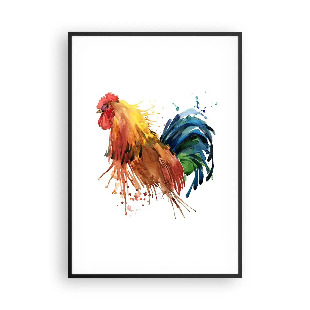 Póster en marco negro - Un manto real, un orgullo real - 70x100 cm
