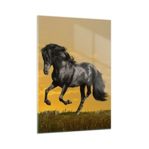 Cuadro sobre vidrio - Impresiones sobre Vidrio - Un caballo negro galopando contra el sol poniente. - 50x70cm - Hermoso, libre y salvaje - Decoración de pared moderna para salón y dormitorio ARTTOR