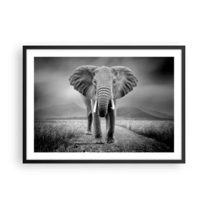 Póster en marco negro - Un poderoso elefante en la sabana en tonos monocromáticos. - 70x50cm - El anfitrión da la bienvenida - Decoración de pared moderna para salón y dormitorio ARTTOR
