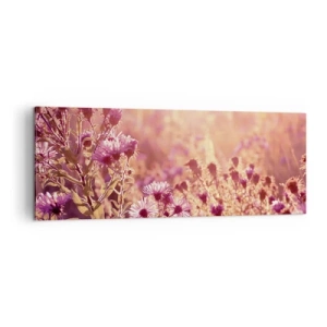 Cuadro sobre lienzo - Impresión de Imagen - Pradera a la luz del sol poniente - 140x50cm - Antes de que se acabe el verano - Decoración de pared moderna para salón y dormitorio ARTTOR